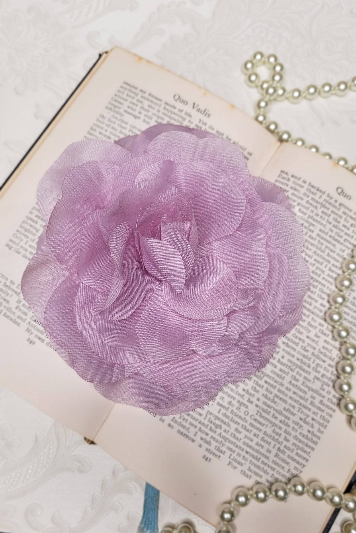 Black Friday Sale 2025